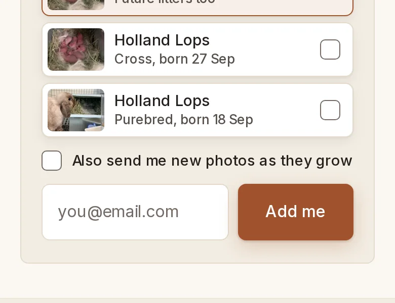 Before: the waitlist's email box with a faint edge.
