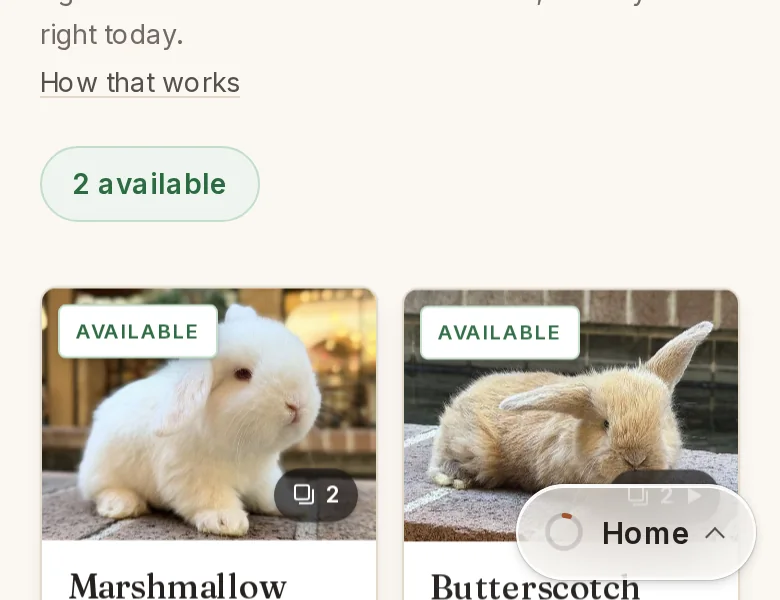 Before: the Available now cards on a phone, Marshmallow and Butterscotch.