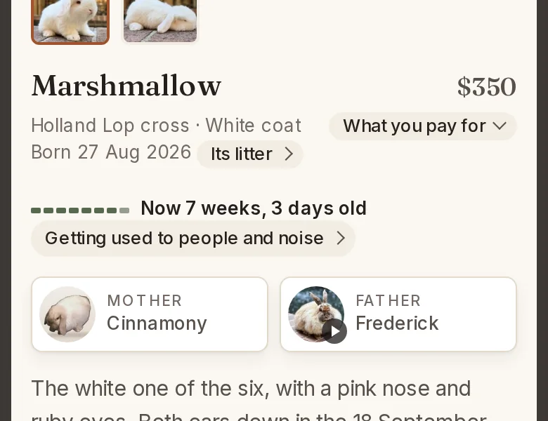 Before: Marshmallow's listing on a phone, with What you pay for under the price.